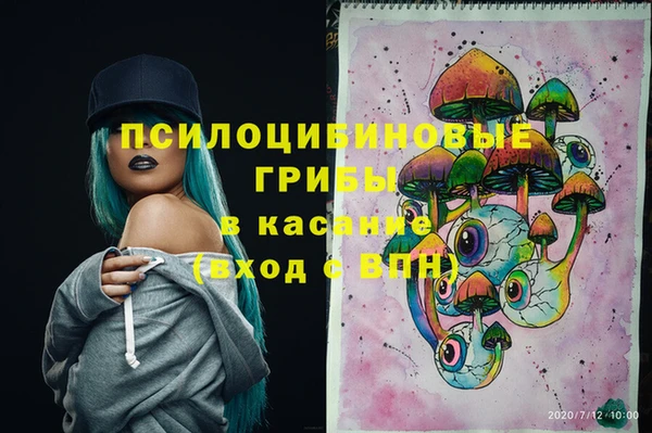 прущие грибы Горнозаводск