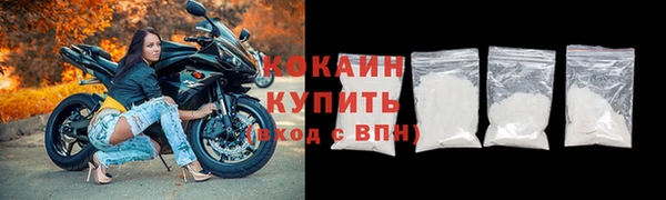 прущие грибы Горнозаводск