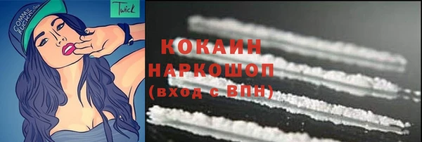прущие грибы Горнозаводск