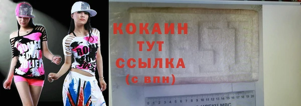 прущие грибы Горнозаводск