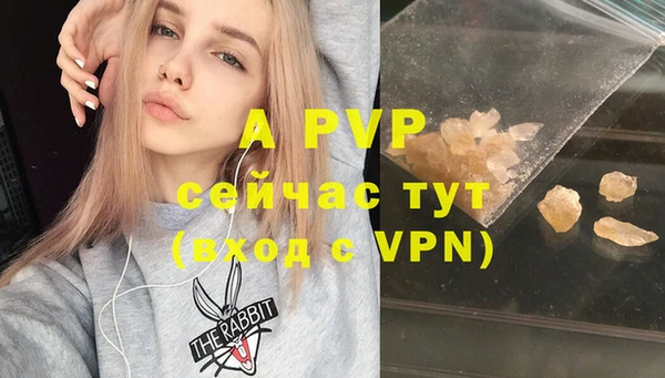 прущие грибы Горнозаводск