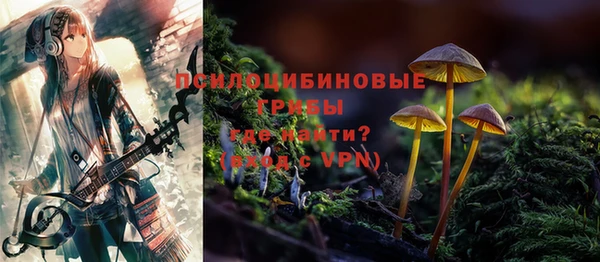 прущие грибы Горнозаводск
