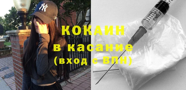 прущие грибы Горнозаводск
