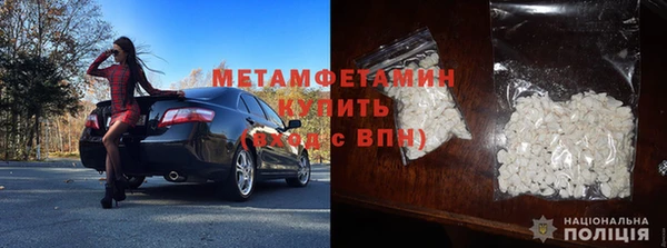 прущие грибы Горнозаводск