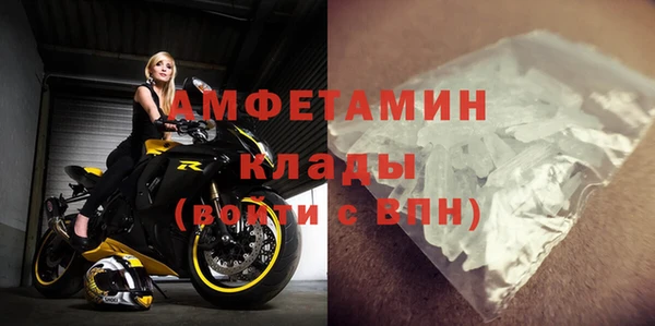 прущие грибы Горнозаводск