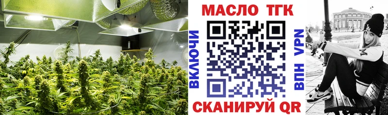Дистиллят ТГК THC oil  Купить закладки  Кондопога 