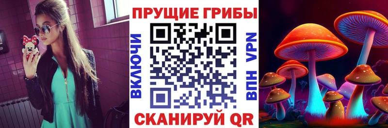 Псилоцибиновые грибы прущие грибы  Купить  Кондопога 